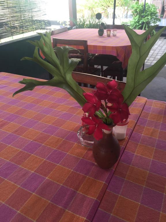 Bolonghes Homestay Negombo Zewnętrze zdjęcie